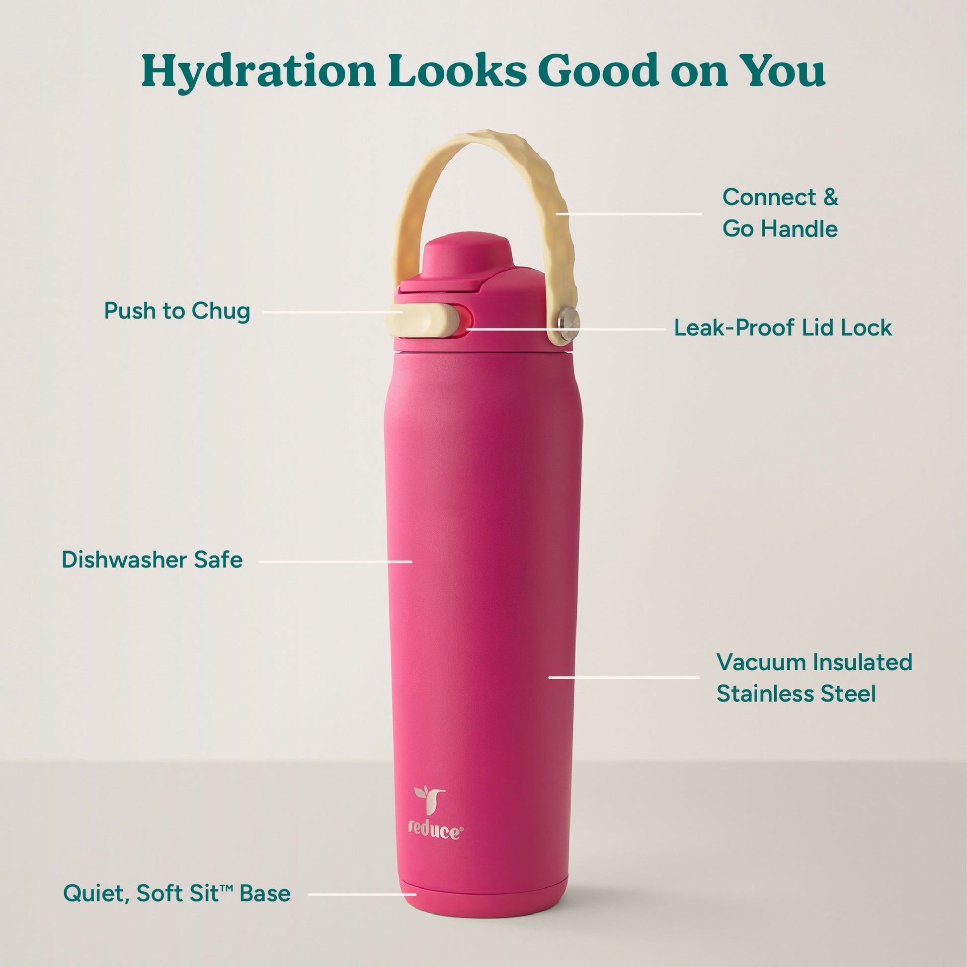 aura-26-oz-o5 Aura_26oz_DragonFruit_PDP_Infographic_2-03.jpg