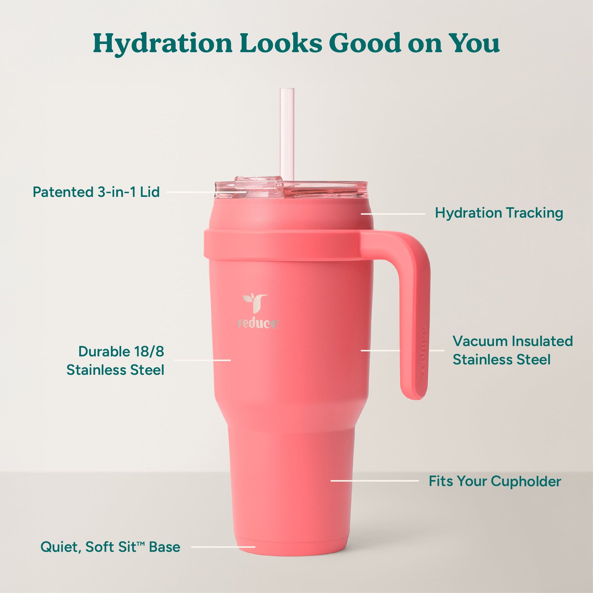 cold1-40-oz-r6 Cold1_40oz_Daiquiri_Infographic_2.jpg