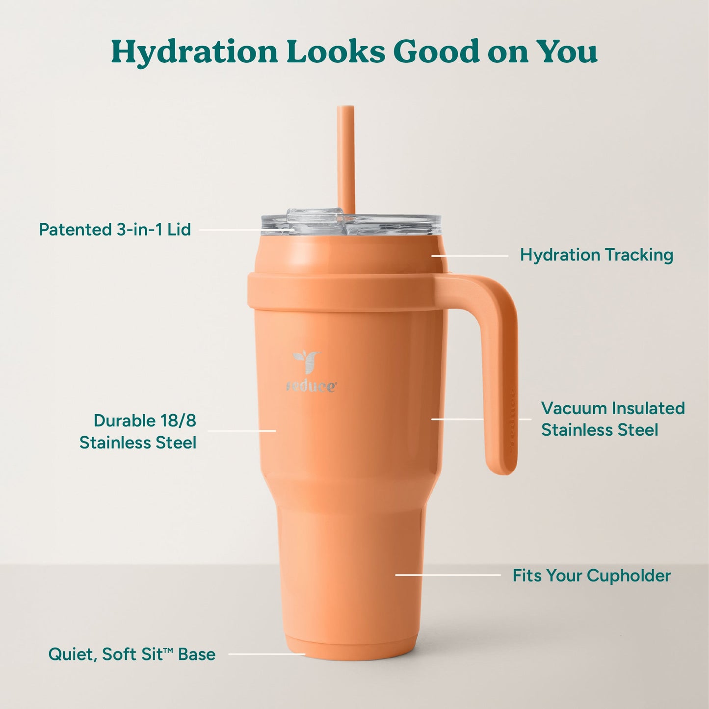 cold1-40-oz-r6 Cold1_40oz_Papaya_Infographic_2.jpg