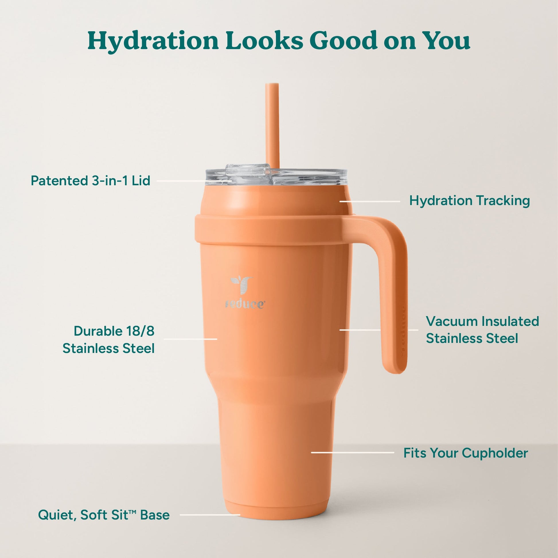cold1-40-oz-r6 Cold1_40oz_Papaya_Infographic_2.jpg