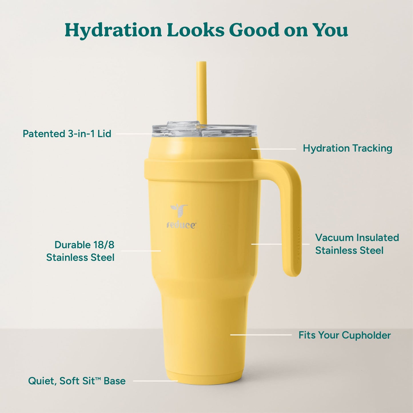 cold1-40-oz-r6 Cold1_40oz_Pineapple_Infographic_2.jpg